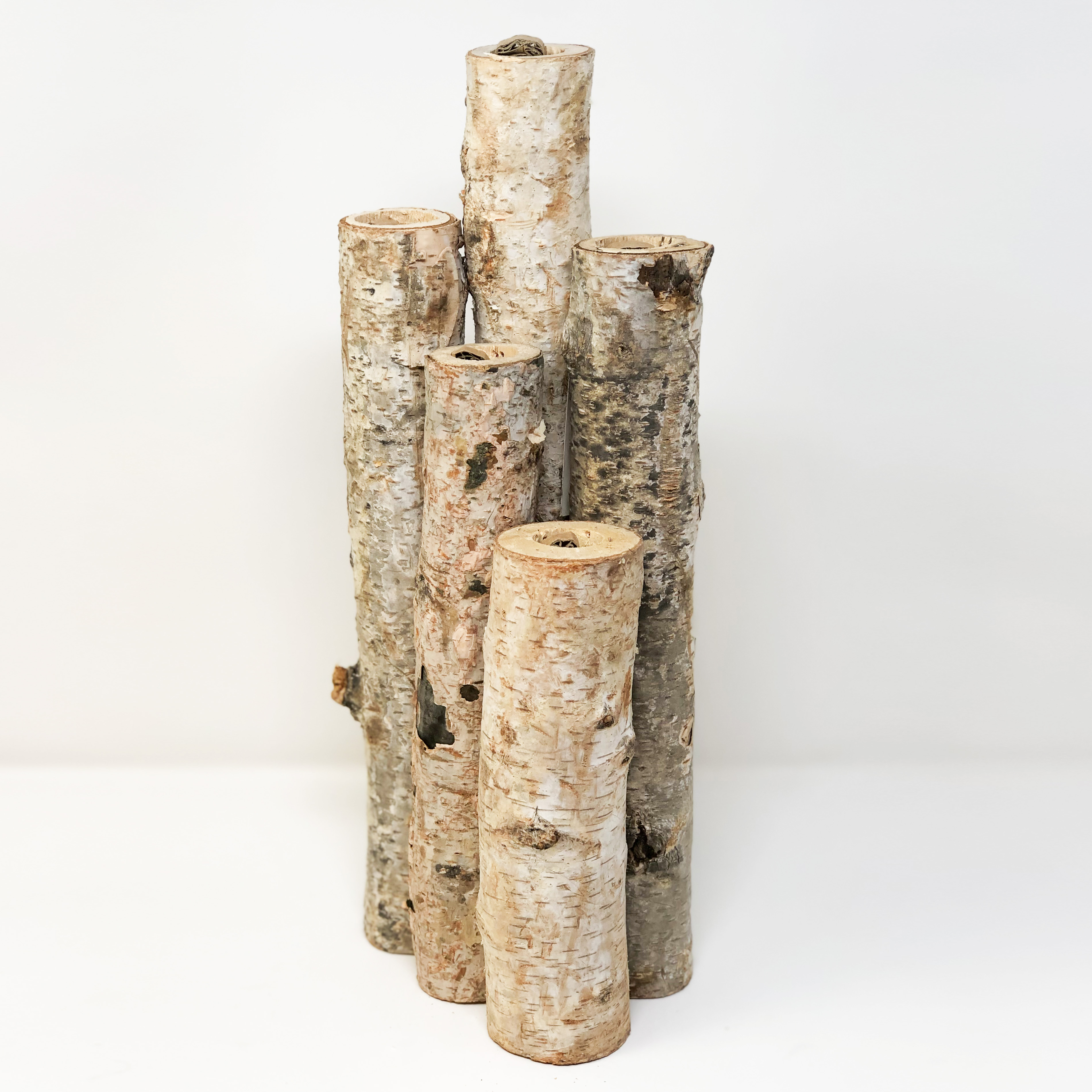 Birch Log Bud Vase Large Flowers By Nature