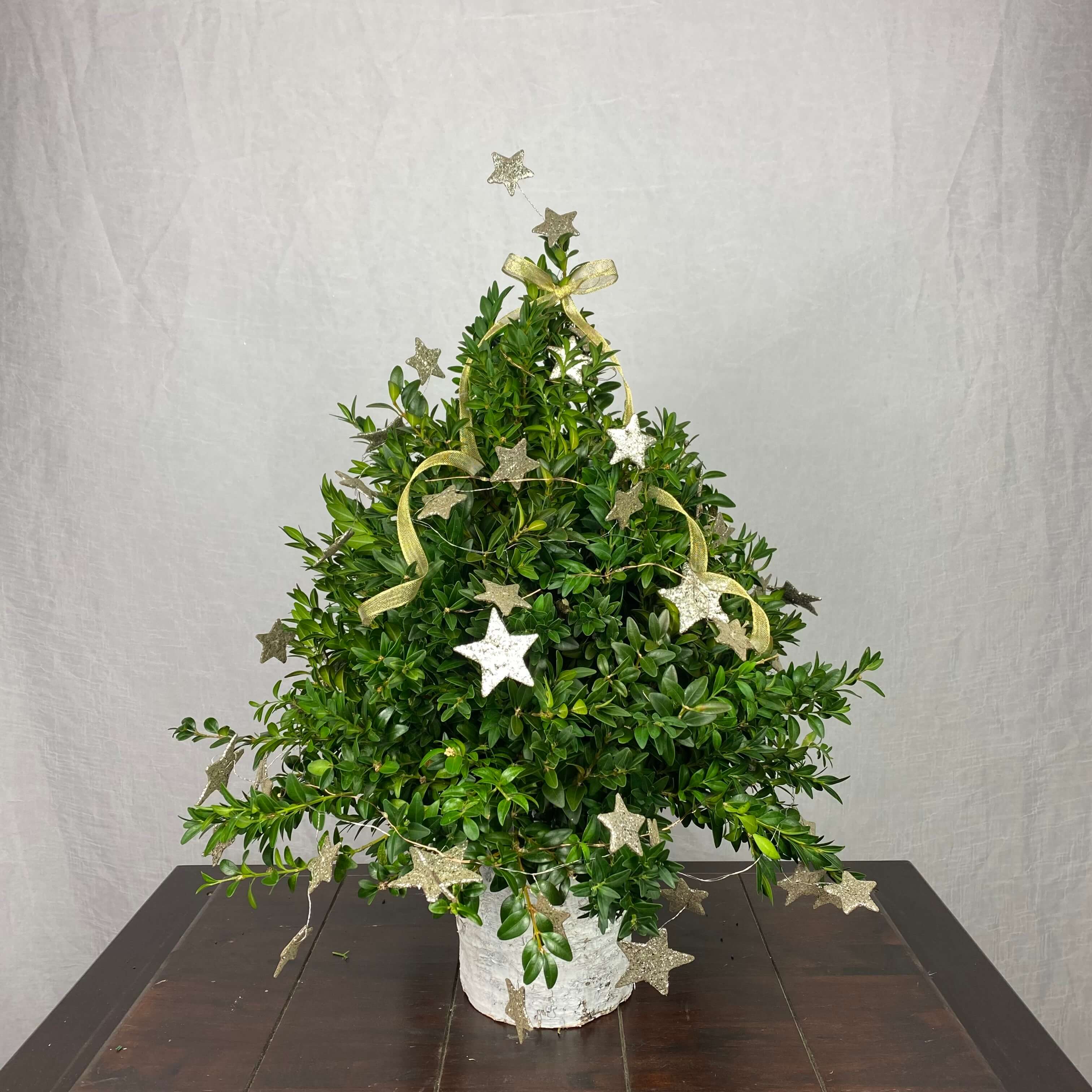 Starlight Boxwood Tree Arrangement Flowers By Nature