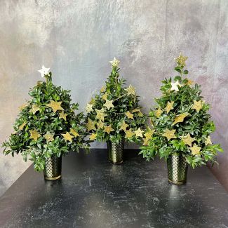 Darling Winter Boxwood Trio