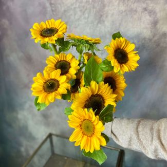 Sunflower Special - Bouquet