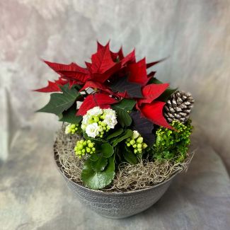 Christmas Dish Garden (11