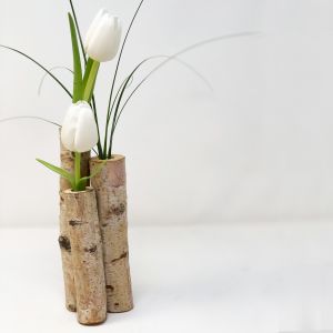 White Birch tubes - Birch Cylinders